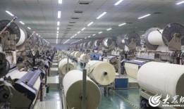 潍坊孚日集团最新爆料,揭秘企业转型与市场布局新动向