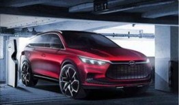 比亚迪最新信息爆料车,颠覆性技术革新，引领新能源汽车新时代